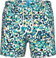 Arena Męskie Szorty MEN'S ARENA WATER PRINTS BEACH SHORT AO 13