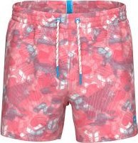 Arena Męskie Szorty MEN'S ARENA WATER PRINTS BEACH SHORT AO 10