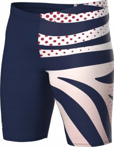 Arena Męskie Bokserki kąpielowe MEN'S ARENA MULTI STRIPES SWIM JAMMER 3