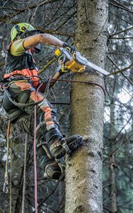 Piła łańcuchowa Dewalt DCMCST635N-XJ 54 V 35 cm 9