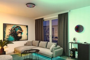 Lampa sufitowa Paulmann Plafoniera SPACEGLOW ONE LED 3D DIM RGB rainbow 38W 3900lm 3000-6500K pilot 230V czarny matowy / metal 4