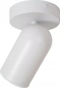 Lampa sufitowa DELIGHT Lucide Punch 13958/01/31 reflektor plafon lampa sufitowa spot 1x35W GU10 biały 3