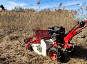 Kosiarka spalinowa MasterCut MASTERCUT SG0812A KARCZOWNICA KARCZOWNIK KOSIARKA BIJAKOWA DO TRAWY ZAROŚLI OGRODOWA SPALINOWA 60CM 8KM 3