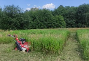 Kosiarka spalinowa MasterCut MASTERCUT SG0812A KARCZOWNICA KARCZOWNIK KOSIARKA BIJAKOWA DO TRAWY ZAROŚLI OGRODOWA SPALINOWA 60CM 8KM 5