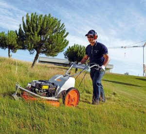 Kosiarka spalinowa Triunfo TRIUNFO DORMAK EP53H KARCZOWNICA HONDA KOSIARKA SPALINOWA DO WYSOKIEJ TRAWY ZAROŚLI KRZAKÓW ROTACYJNA Z NAPĘDEM 7