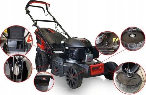 Kosiarka spalinowa Cedrus HONDA KOSIARKA SPALINOWA DO TRAWY CEDRUS KS53S-H Z NAPĘDEM HONDA GCV200 5w1 53cm / 4.1 KM - EWIMAX - OFICJALNY DYSTRYBUTOR - AUTORYZOWANY DEALER CEDRUS 32