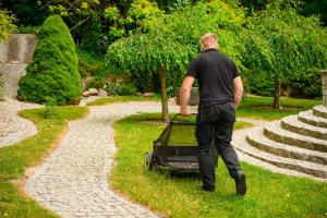 Cedrus SP31110 ZBIERACZ ZAMIATARKA DO TRAWY LIŚCI Z KOSZEM 66cm 7