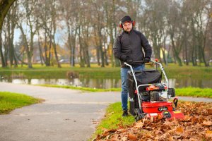 Cedrus Odkurzacz Spalinowy + Wertykulator Spalinowy Do Liści 4w1 (LV58S) 24