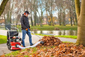 Cedrus Odkurzacz Spalinowy + Wertykulator Spalinowy Do Liści 4w1 (LV58S) 28