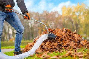 Cedrus Odkurzacz Spalinowy + Wertykulator Spalinowy Do Liści 4w1 (LV58S) 30