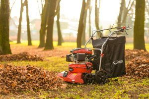 Cedrus Odkurzacz Spalinowy + Wertykulator Spalinowy Do Liści 4w1 (LV58S) 36