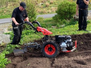 Traktor ogrodowy Cedrus CEDRUS TJ02 TRAKTOREK TRAKTOR JEDNOOSIOWY MIKROCIĄGNIK GLEBOGRYZARKA DZIK WOM JANSEN AGRO GRILLO MURATORI - EWIMAX - OFICJALNY DYSTRYBUTOR - AUTORYZOWANY DEALER CEDRUS 32