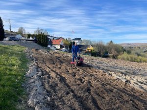 Traktor ogrodowy Cedrus CEDRUS TJ02 TRAKTOREK TRAKTOR JEDNOOSIOWY MIKROCIĄGNIK GLEBOGRYZARKA DZIK WOM JANSEN AGRO GRILLO MURATORI - EWIMAX - OFICJALNY DYSTRYBUTOR - AUTORYZOWANY DEALER CEDRUS 37