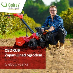 Glebogryzarka Cedrus CEDRUS GLX480 GLEBOGRYZARKA SPALINOWA SAMOBIEŻNA Z NAPĘDEM KULTYWATOR CEDRUS GLX 480 6.5KM / 48 cm SILNIK LONCIN - OFICJALNY DYSTRYBUTOR - AUTORYZOWANY DEALER CEDRUS 18