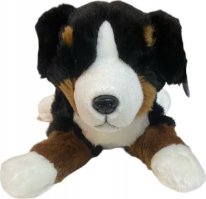 Dubi Pies berneński 40cm 11653 2