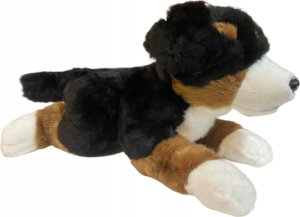 Dubi Pies berneński 40cm 11653 4