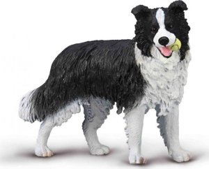 Figurka Collecta Collecta border collie 80012 00127 1