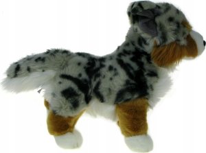 Dubi Pies australijski stojący 30cm 30405 3