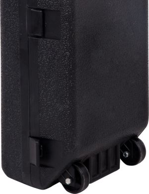 inSPORTline hantle żeliwne 2 x 25 kg 5