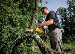 Piła łańcuchowa Dewalt DCMPS520N-XJ 18 V 20 cm 18