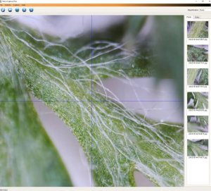 Mikroskop Steinberg Mikroskop cyfrowy z oświetleniem LED powiększenie 10-300x USB Mikroskop cyfrowy z oświetleniem LED powiększenie 10-300x USB 6