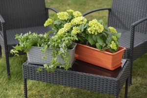 Verdenia Doniczka balkonowa Draco (60 cm, terakotowy) 3