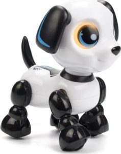 Dumel Robo heads up puppy 1