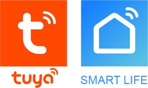 Blow 72-088# Inteligentny włącznik światła dwukanałowy szklany wifi tuya 6