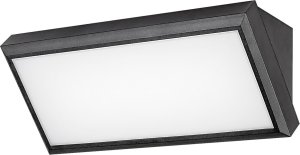 Lampa sufitowa Rabalux Lampa natynkowa Rabalux Rapla,outd.surface mounted,LED12W, L11cm, IP54 1