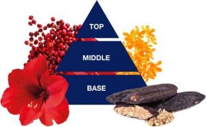 Felce Azzurra FELCE AZURRA Żel do mycia 650ml Hibiskus&Pink Pepper 3