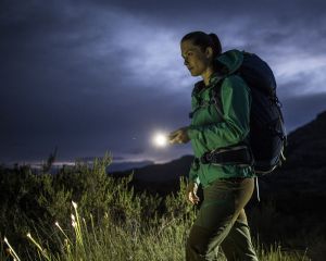 Latarka Ledlenser MT14 (500844) 2