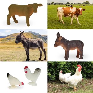 Woopie WOOPIE Zestaw Mały Farmer XL Figurki Gospodarstwo 5