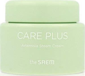 theSaem Care Plus Artemisia Steam Krem do twarzy 100ml 1