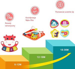 Woopie WOOPIE Interaktywna Kostka Sensoryczna Edukacyjna Montessori Sorter 6w1 3