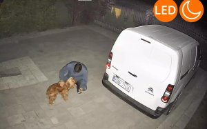 Kamera IP ORLLO Kamera IP Orllo Z7 Pro zewnętrzna obrotowa GSM 4MPx 6