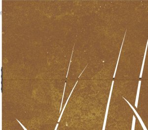 vidaXL Furtka ogrodowa, 85x125 cm, stal kortenowska, motyw trawy 8