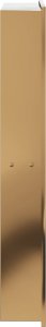 vidaXL Wnęka prysznicowa, szczotkowana, złota, 32x62x9 cm, stal 5