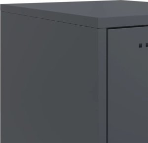 vidaXL Szafka nocna, antracytowa, 36x39x43,5 cm, stal 11
