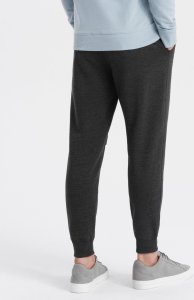 Ombre Spodnie męskie dresowe z przeszyciem i zamkiem na nogawce - grafitowy melanż V2 OM-PASK-0147 XL 7