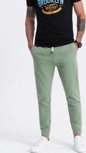 Ombre Spodnie męskie dresowe typu jogger - zielone V3 OM-PABS-0173 XL 1