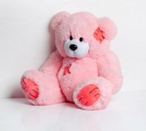 Go Gift Miś TEDDY 60cm różowy 1