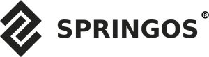 Springos Gwiazda świąteczna papierowa 3D 25 cm zawieszka choinkowa biała UNIWERSALNY 12