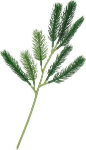 Dekoracja świąteczna Springos gałązka 7