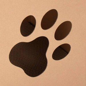 Springos Drapak dla kota, kartonowy domek z drapakiem dla kota 30x30x30 cm legowisko dwupoziomowe, pudełko brązowe UNIWERSALNY 5