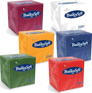 Bulkysoft Serwetki BulkySoft 24x24cm 2w celulozowe białe (10 - 1