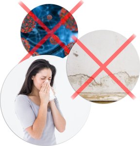 Berdsen Osuszacz powietrza - pochłaniacz wilgoci Berdsen BR-20D czarny 15