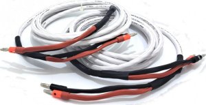 Kabel AQ Acoustique Quality SLiP-DB 16/4 (biały) Zestaw kabli głośnikowych HiFi, wykonany z przewodów marki Audioquest DŁUGOŚĆ 3 metry 1