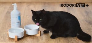 Irodori Vet Olej z łososia dla psa i kota Irodori Vet 1000ml 11