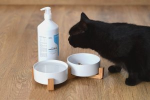 Irodori Vet Olej z łososia dla psa i kota Irodori Vet 1000ml 15