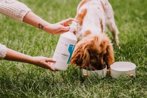 Irodori Vet Olej z łososia dla psa i kota Irodori Vet 1000ml 2